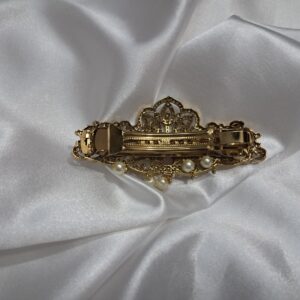 Hair clips online