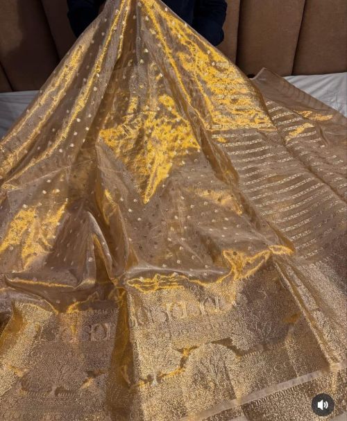 Golden Tissue Saree