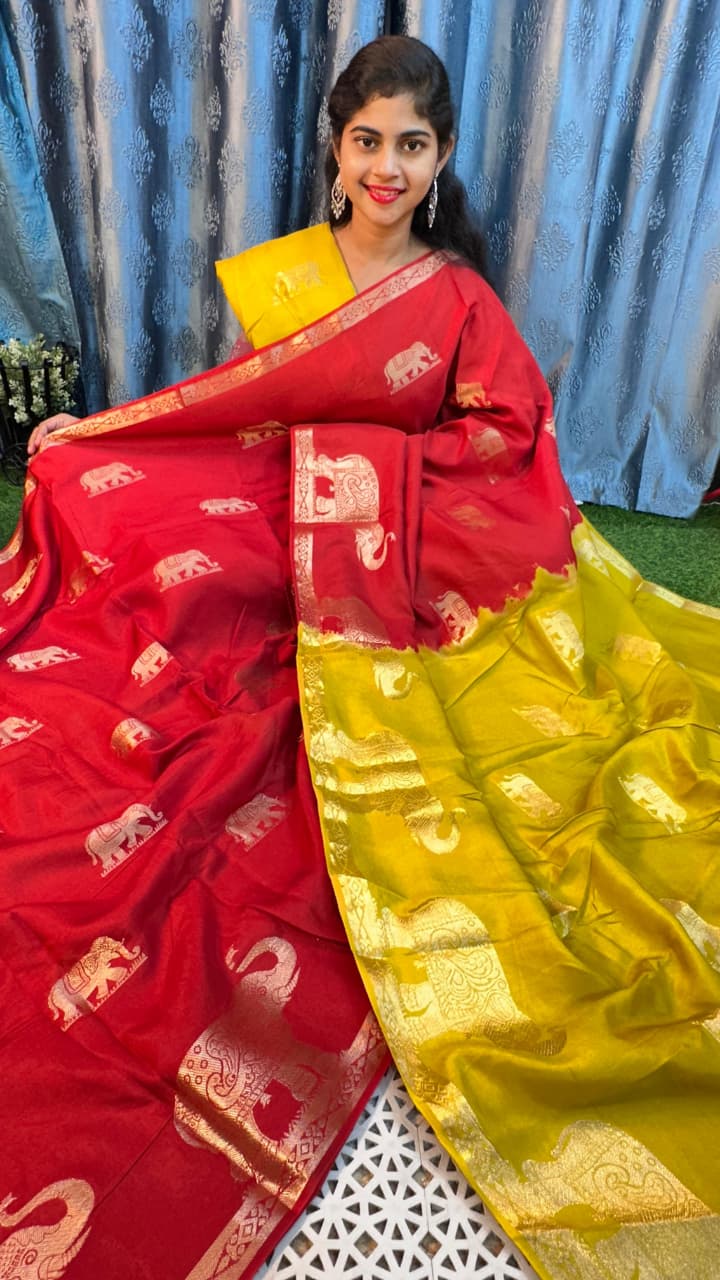 raw mango pattu sarees