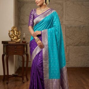 chinnon sarees
