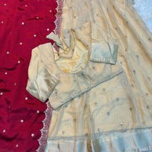 georgette lehenga for women